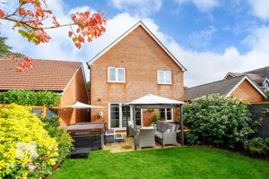 Photo 1- click for photo gallery